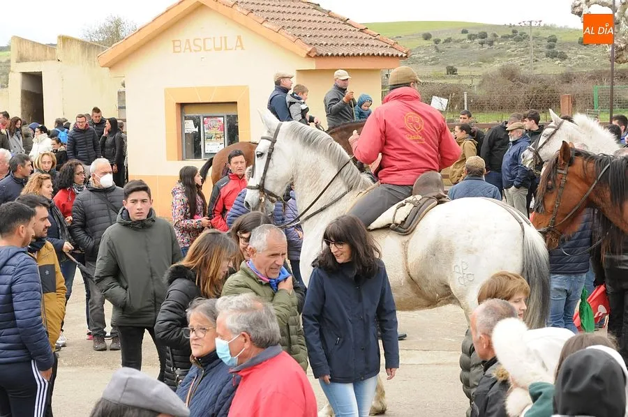 Los encierros a caballo son los espectáculos estrella de la comarca mirobrigense/ Rep:Gráfico: Adrián M. Pastor