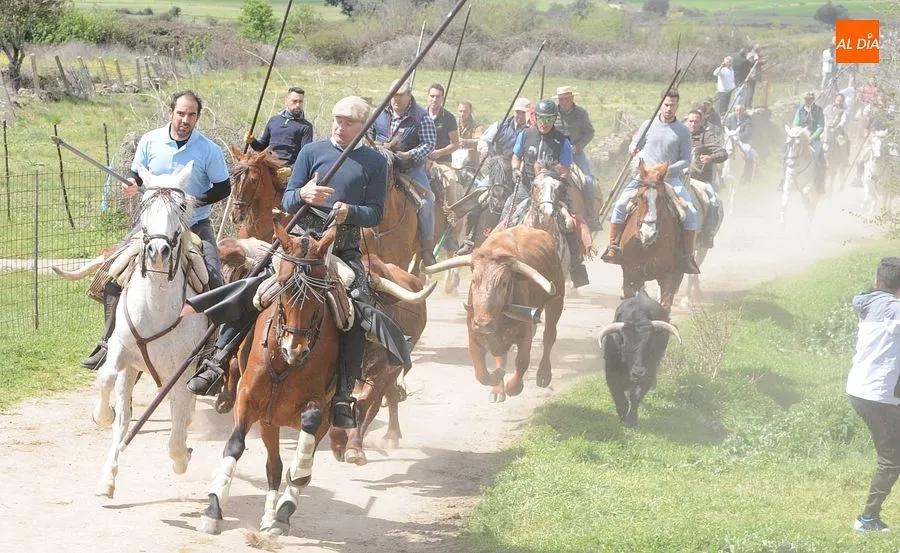 Multitudinario encierro a caballo en Gallegos de Argañán/ Rep.Gráfico: Adrián M. Pastor