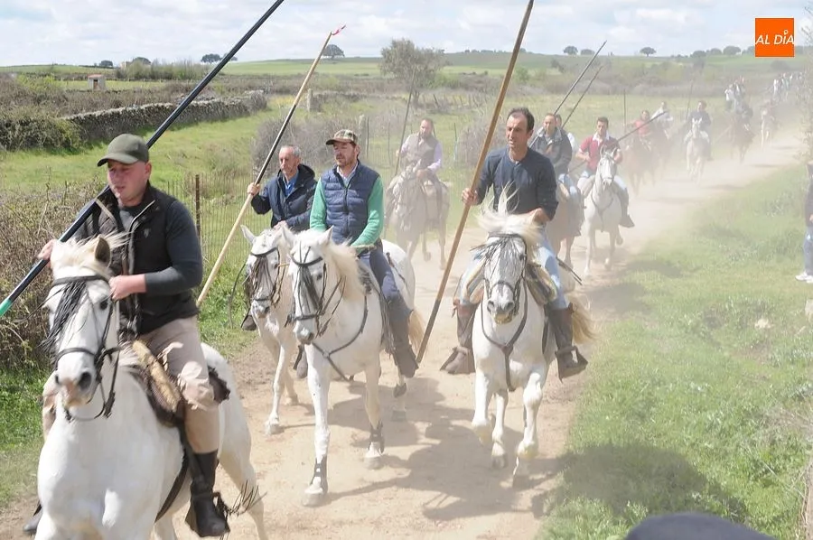 Multitudinario encierro a caballo en Gallegos de Argañán/ Rep.Gráfico: Adrián M. Pastor