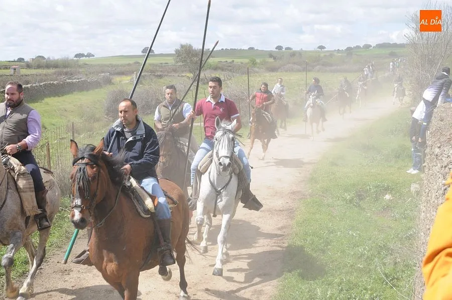 Multitudinario encierro a caballo en Gallegos de Argañán/ Rep.Gráfico: Adrián M. Pastor