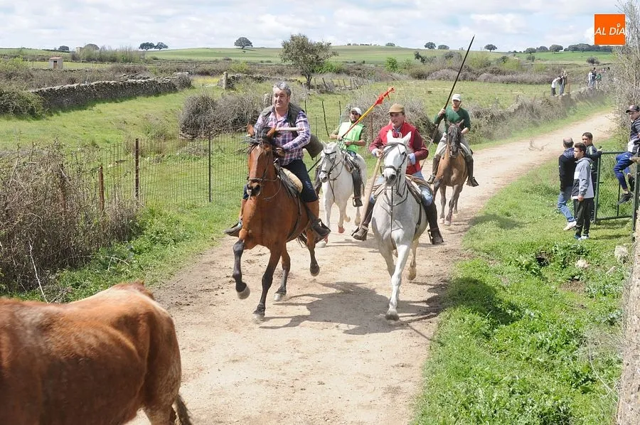 Multitudinario encierro a caballo en Gallegos de Argañán/ Rep.Gráfico: Adrián M. Pastor