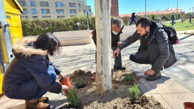 Participantes en el proyecto Alcorques Savios en Salamanca - Savia-Ayto. Salamanca