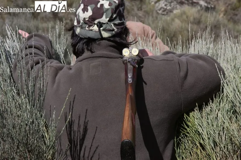 La caza del zorro en madriguera es todo un arte / CORRAL