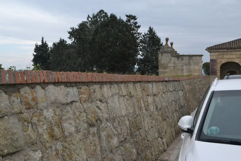 Foto 2 - Ciudad Rodrigo se queda 14 meses despu&eacute;s sin agujas en sus calles