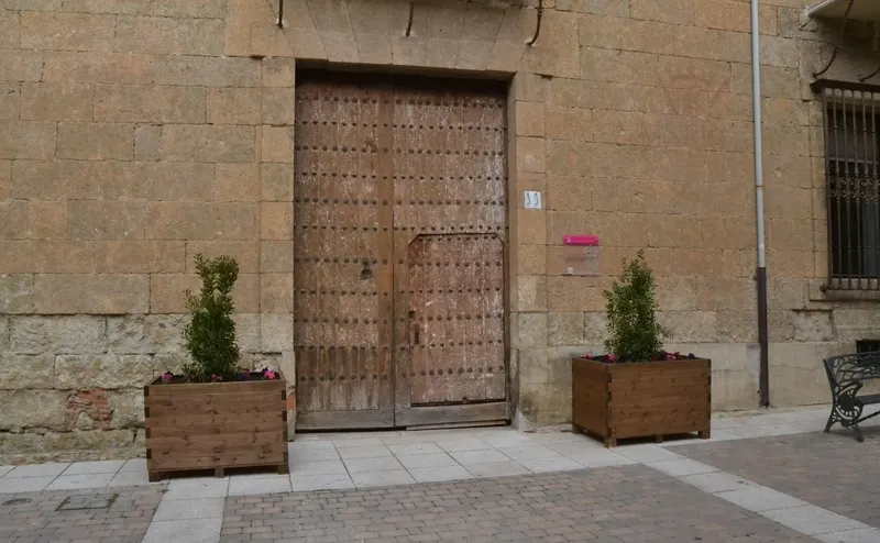 Foto 3 - Retiradas tras las quejas vecinales la mayor&iacute;a de las nuevas jardineras de la calle Madrid