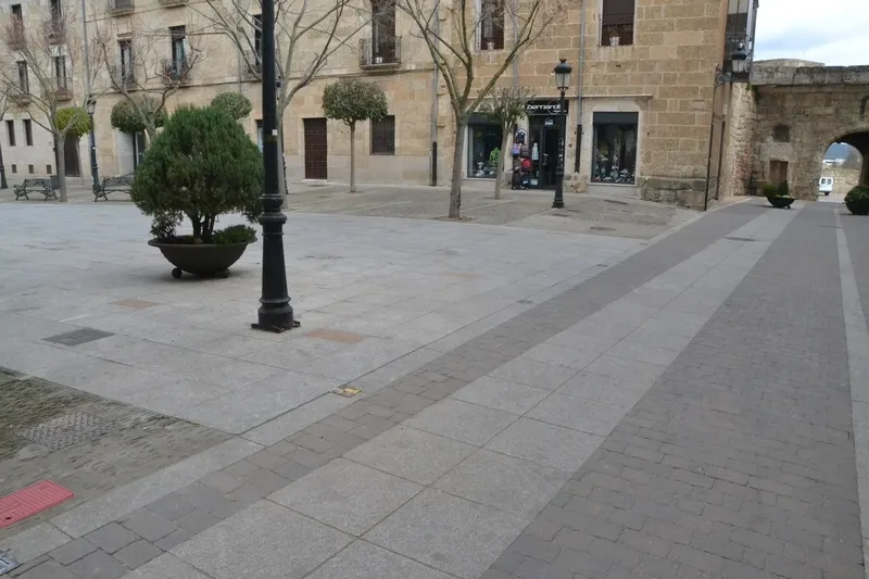 Foto 2 - Retiradas tras las quejas vecinales la mayor&iacute;a de las nuevas jardineras de la calle Madrid