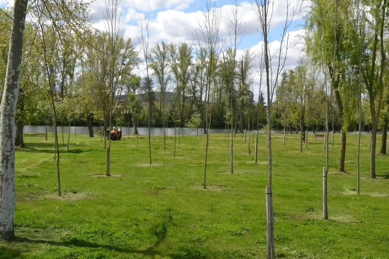 Foto 3 - Ma&ntilde;ana de preparativos en el entorno del r&iacute;o para celebrar el Lunes de Aguas