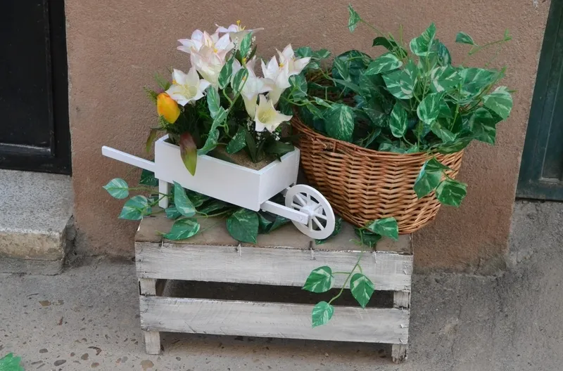 Foto 10 - As&iacute; lucen las tres &uacute;nicas zonas apuntadas al 2&ordm; Concurso Floral de Primavera