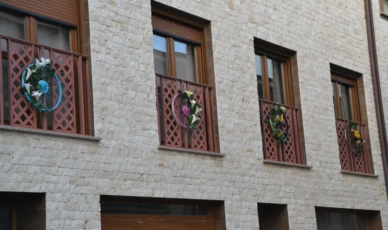 Foto 4 - As&iacute; lucen las tres &uacute;nicas zonas apuntadas al 2&ordm; Concurso Floral de Primavera