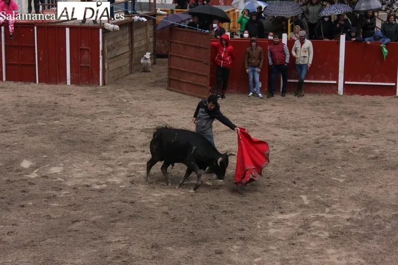 Fiestas de San Jorge en Olmedo de Camaces