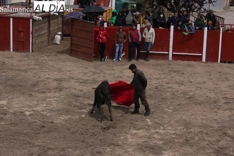 Fiestas de San Jorge en Olmedo de Camaces