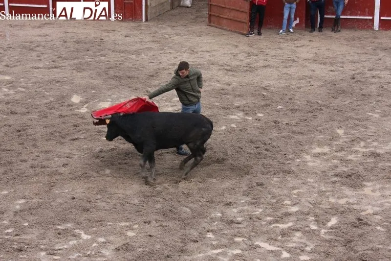 Fiestas de San Jorge en Olmedo de Camaces