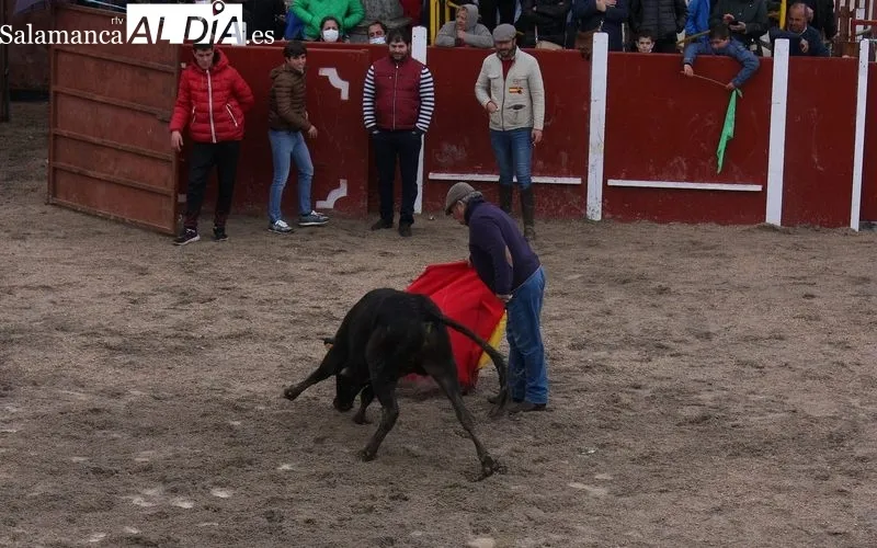 Fiestas de San Jorge en Olmedo de Camaces