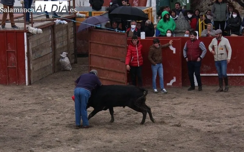 Fiestas de San Jorge en Olmedo de Camaces