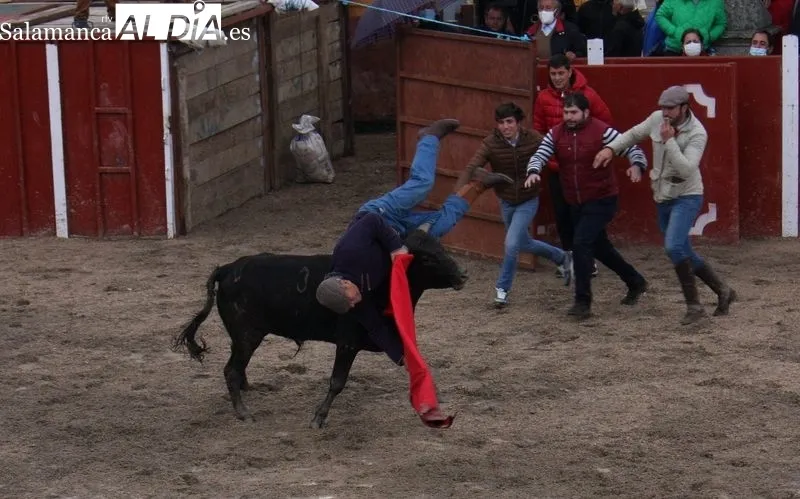 Fiestas de San Jorge en Olmedo de Camaces