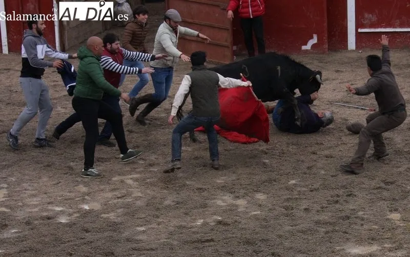 Fiestas de San Jorge en Olmedo de Camaces