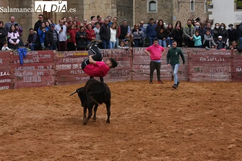 Encierro de vaquillas en Yecla de Yeltes
