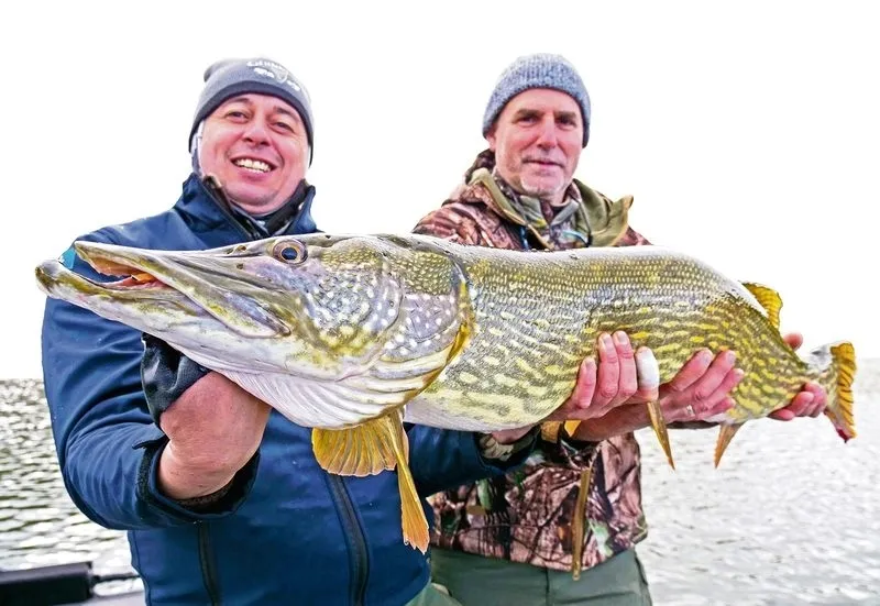 Pesca de grandes depredarores en Las Arribes con la empresa Bo Fishing  /  Fotos: www.bofishing.es