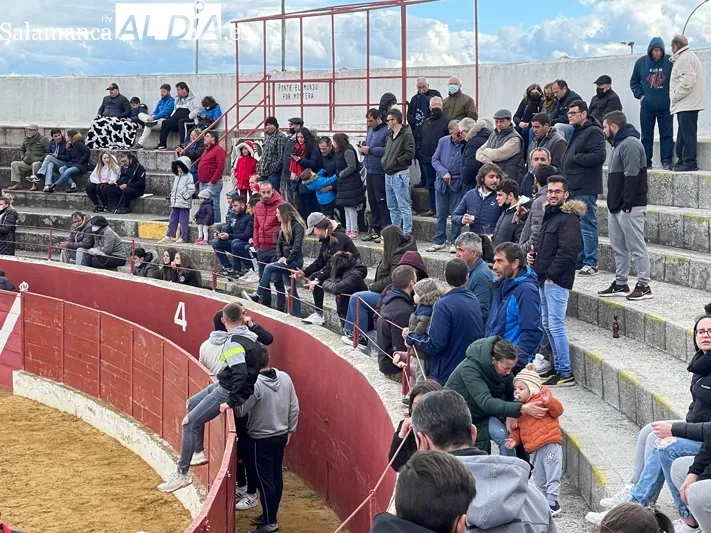 El Toro del Voto ha vuelto a las calles de Villoria 