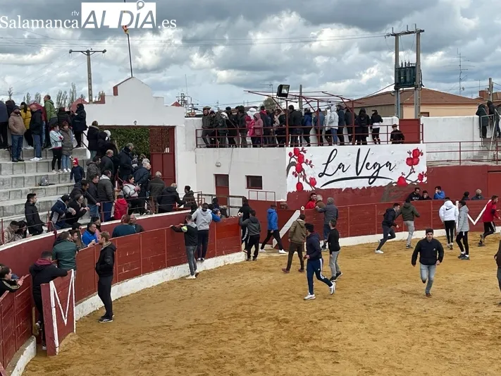 El Toro del Voto ha vuelto a las calles de Villoria 