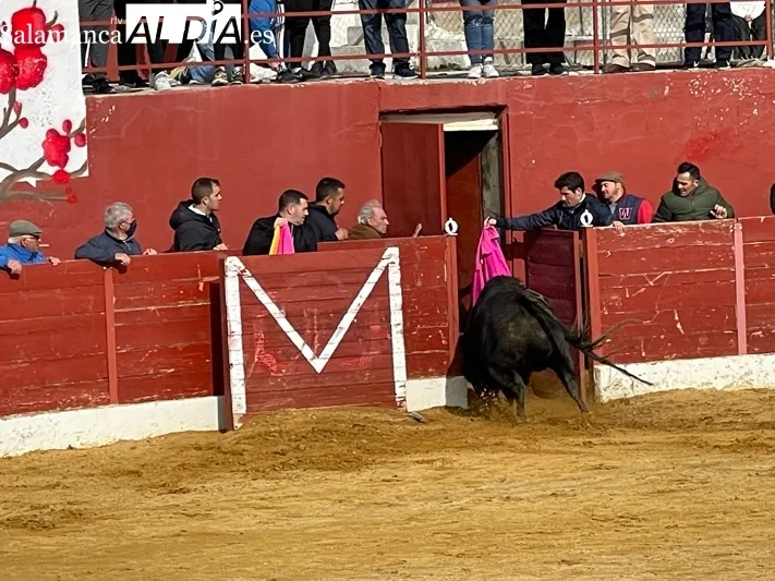 El Toro del Voto ha vuelto a las calles de Villoria 