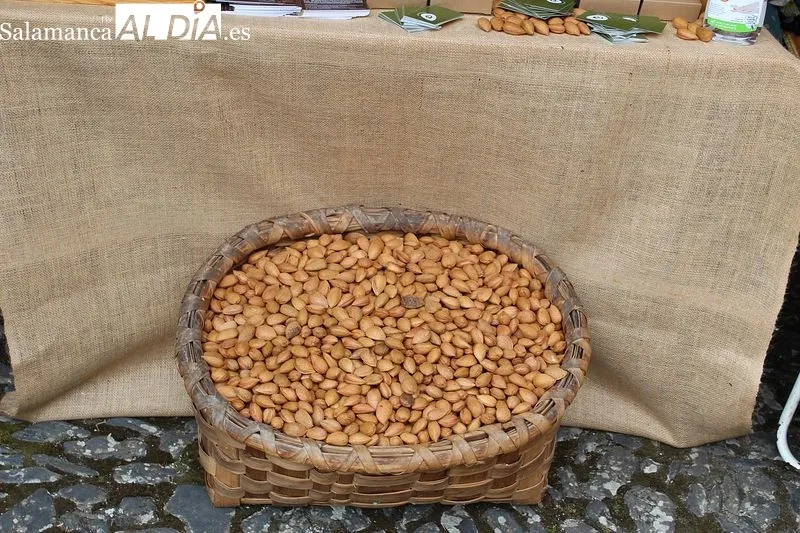 Feria Medieval de Torre de Moncorvo (Portugal), edición 2022 | MARTÍN-GARAY