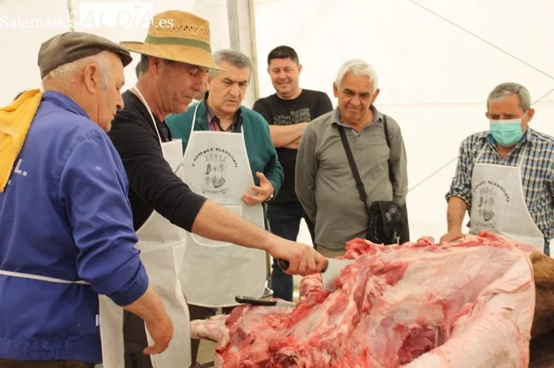 La V Matanzan Típica de Cantaracillo se esta viviendo este fin de semana