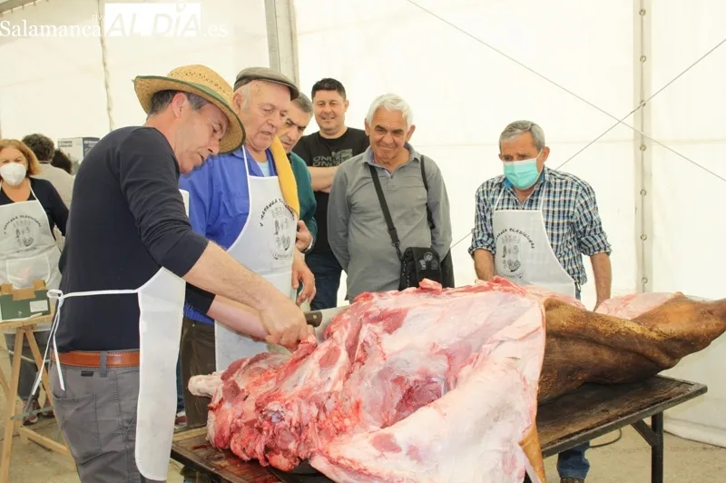 La V Matanzan Típica de Cantaracillo se esta viviendo este fin de semana