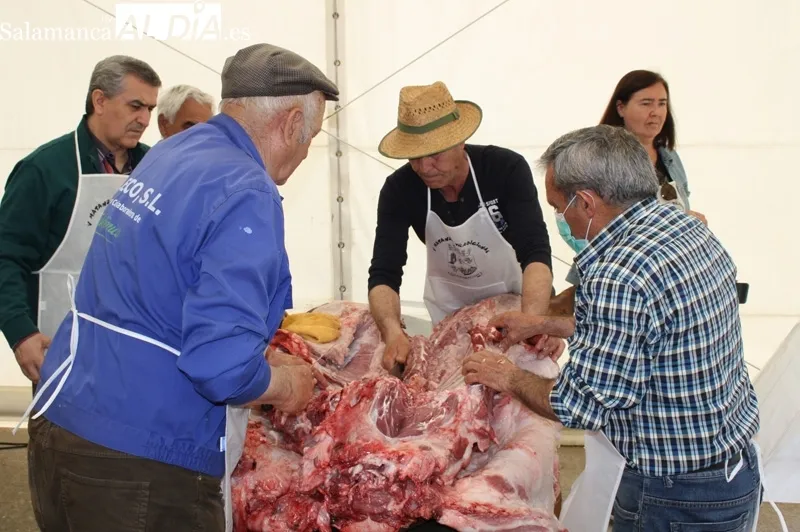 La V Matanzan Típica de Cantaracillo se esta viviendo este fin de semana