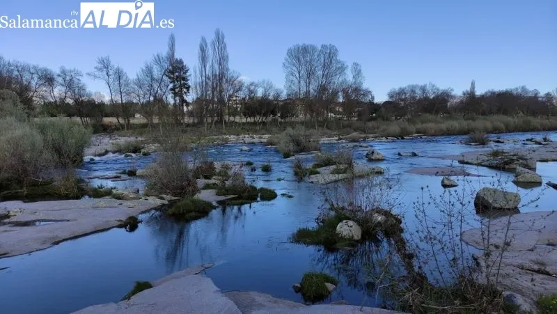 Estado del río Tormes a su paso por Puente del Congosto