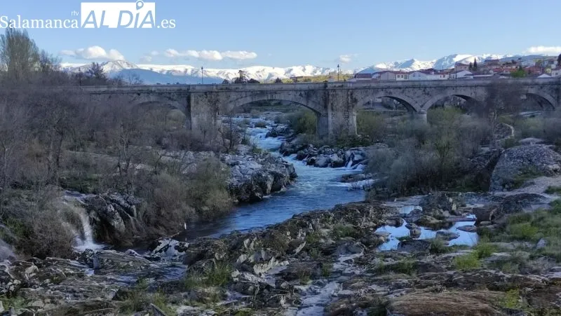 Estado del río Tormes a su paso por Puente del Congosto
