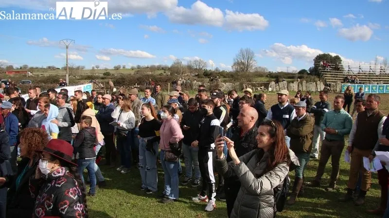 I Feria Solidaria del Caballo en Bañobárez