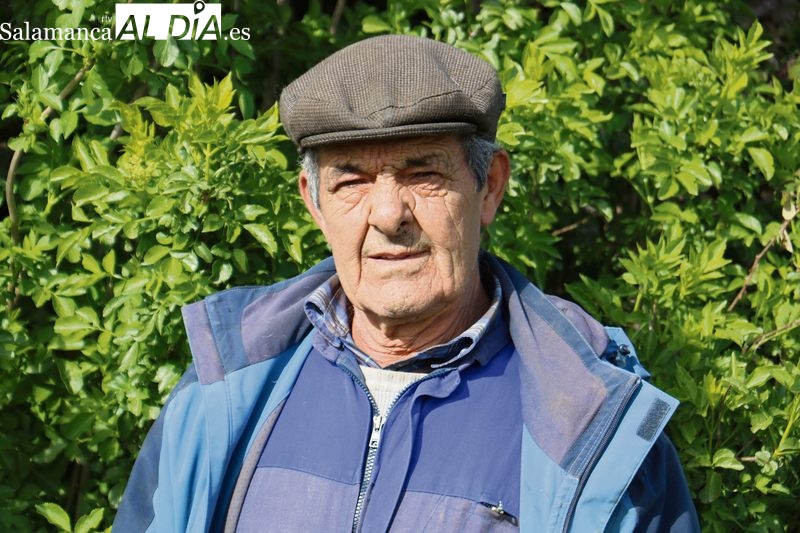 Ismael Pacho se cansó de esperar las oposiciones de maestro y decidió dedicarse a las ovejas en Trabanca hace 37 años / CORRAL