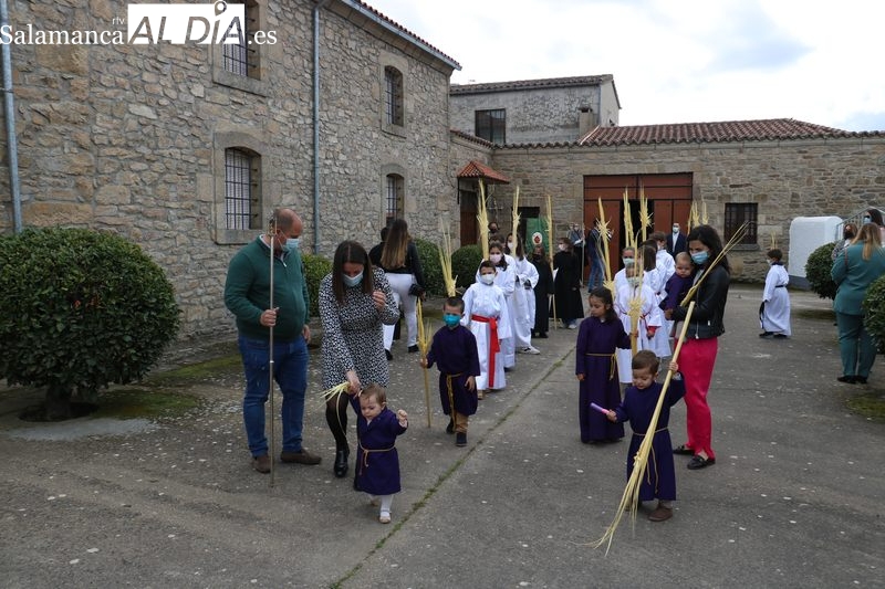 Procesión del Domingo de Ramos en Vitiudino