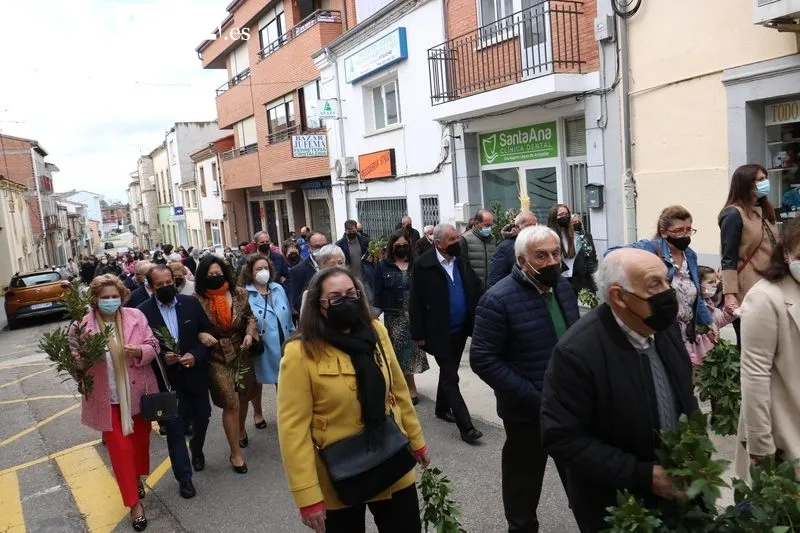 Procesión del Domingo de Ramos en Vitiudino