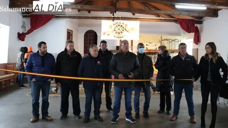 Feria ganadera de Peralejos de Abajo / CORRAL