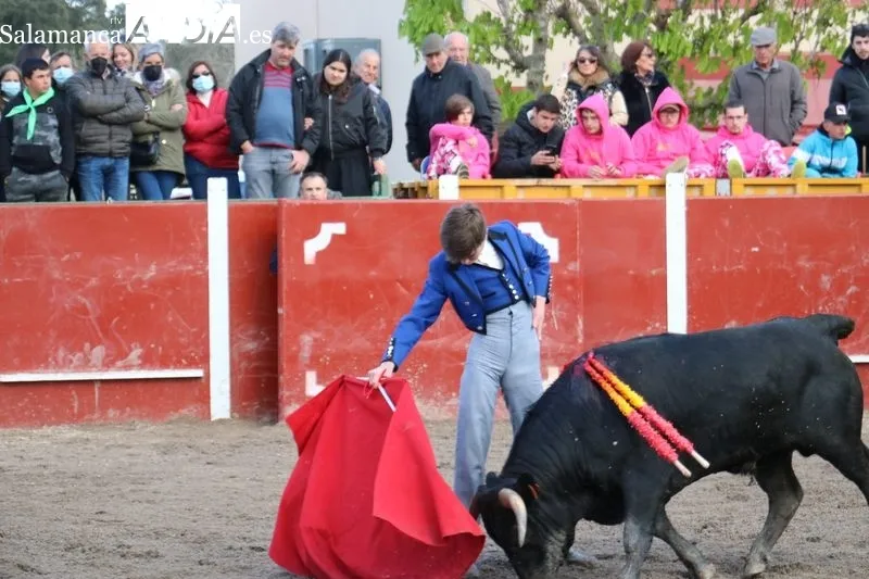 Éxito de los alumnos de la Escuela de Tauromaquia de Salamanca en la clase práctica celebrada en Olmedo de Camaces / CORRAL