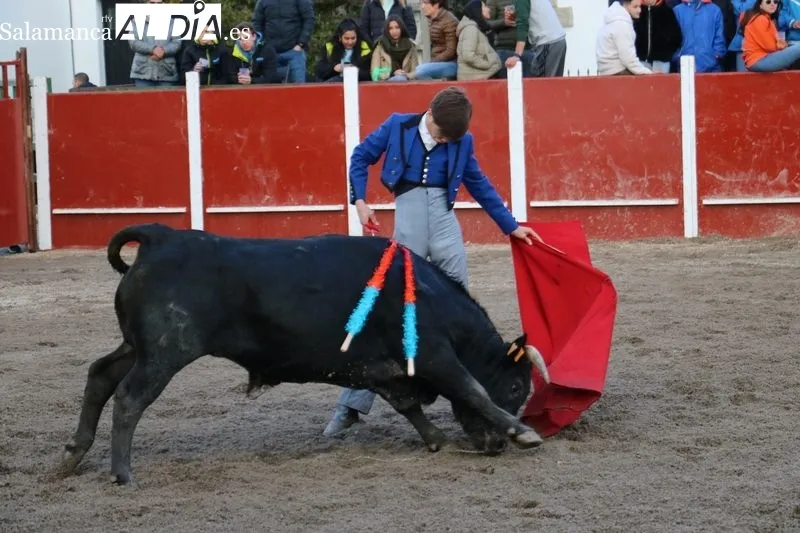 Éxito de los alumnos de la Escuela de Tauromaquia de Salamanca en la clase práctica celebrada en Olmedo de Camaces / CORRAL