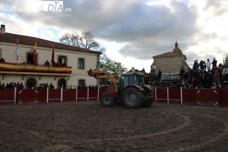 Éxito de los alumnos de la Escuela de Tauromaquia de Salamanca en la clase práctica celebrada en Olmedo de Camaces / CORRAL