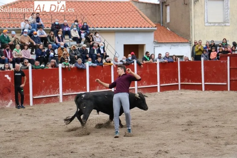 Segundo encierro de las fiestas de San Jorge en Olmedo de Camaces / CORRAL 