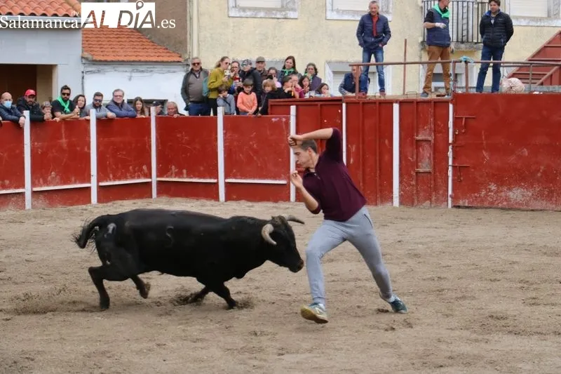 Segundo encierro de las fiestas de San Jorge en Olmedo de Camaces / CORRAL 