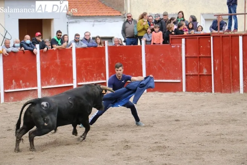 Segundo encierro de las fiestas de San Jorge en Olmedo de Camaces / CORRAL 