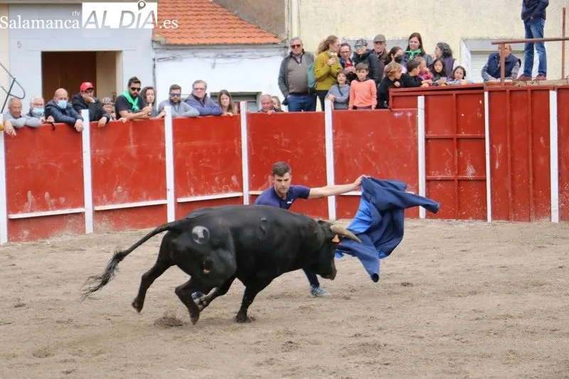 Segundo encierro de las fiestas de San Jorge en Olmedo de Camaces / CORRAL 