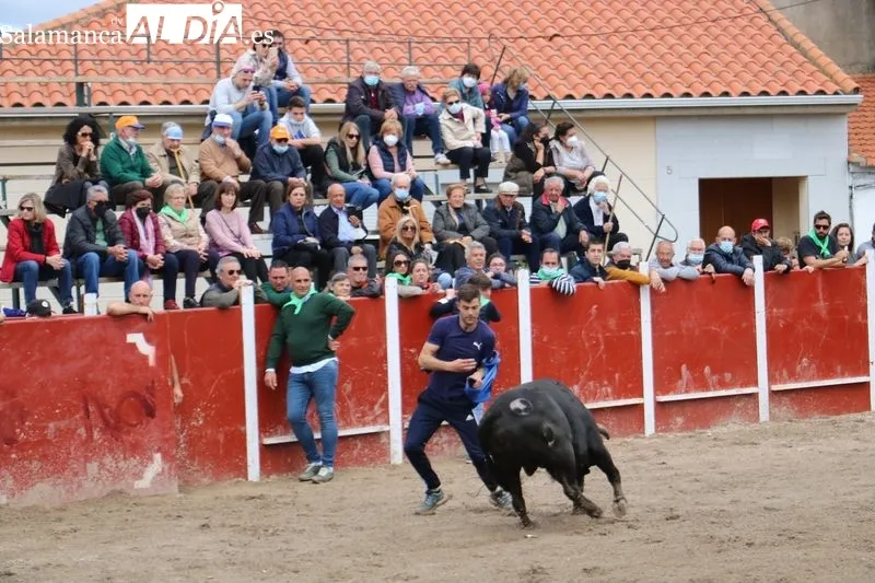 Segundo encierro de las fiestas de San Jorge en Olmedo de Camaces / CORRAL 