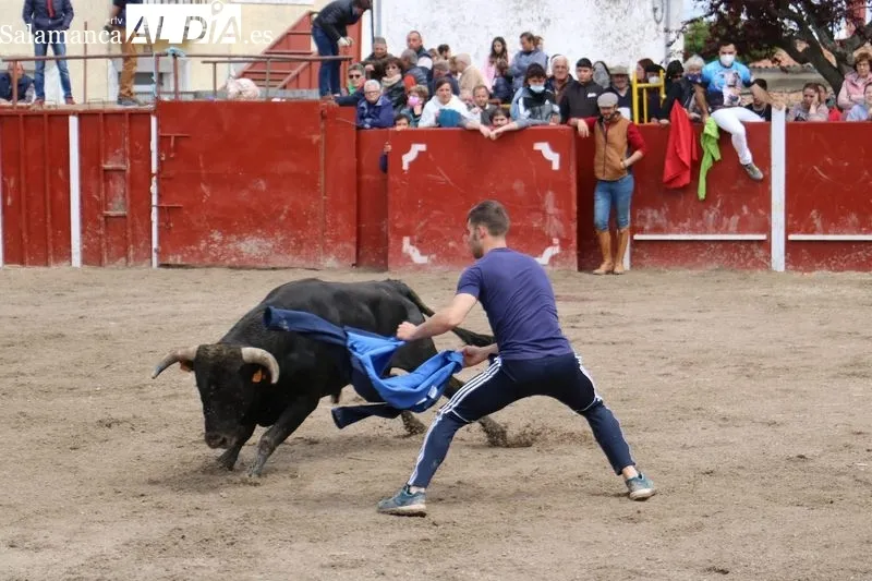 Segundo encierro de las fiestas de San Jorge en Olmedo de Camaces / CORRAL 