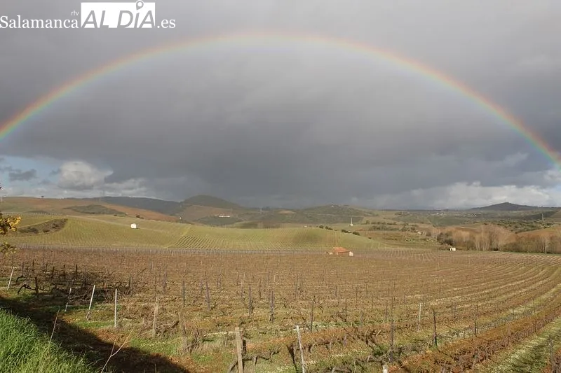 Paisaje vitivinícola del Duero Superior (Portugal)| MARTÍN-GARAY