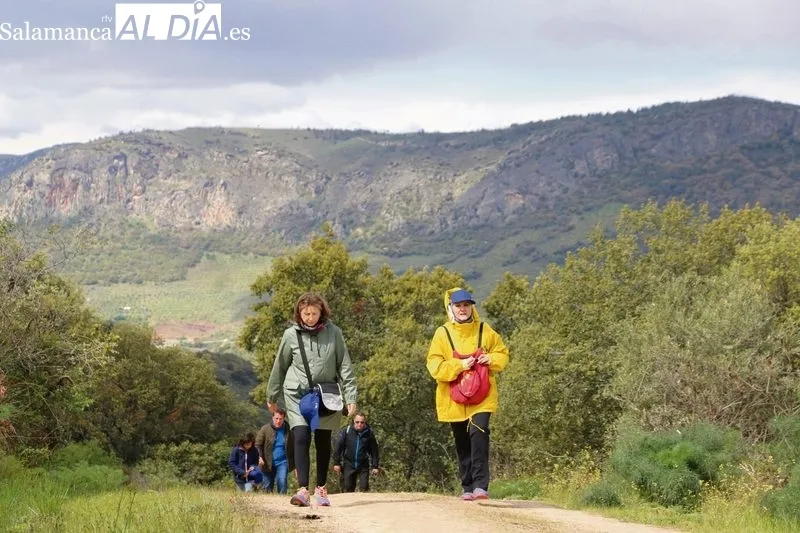 El senderismo es una de las actividades a las que invita Saucelle por lo espectacular de su paisaje  /  CORRAL