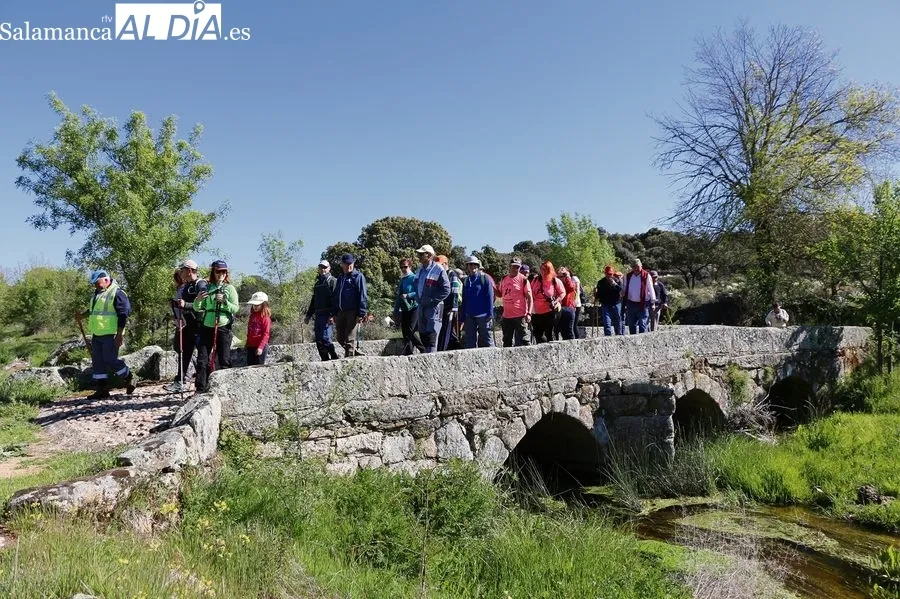Marcha senderista de Hinojosa de Duero  / CORRAL