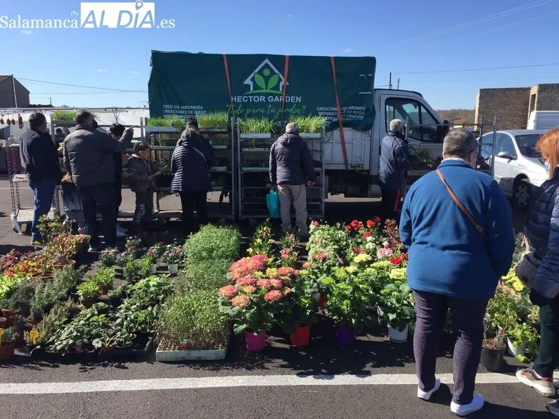 Foto 9 - El mercadillo de Trabanca acoge una buena afluencia de p&uacute;blico este primer domingo de abril
