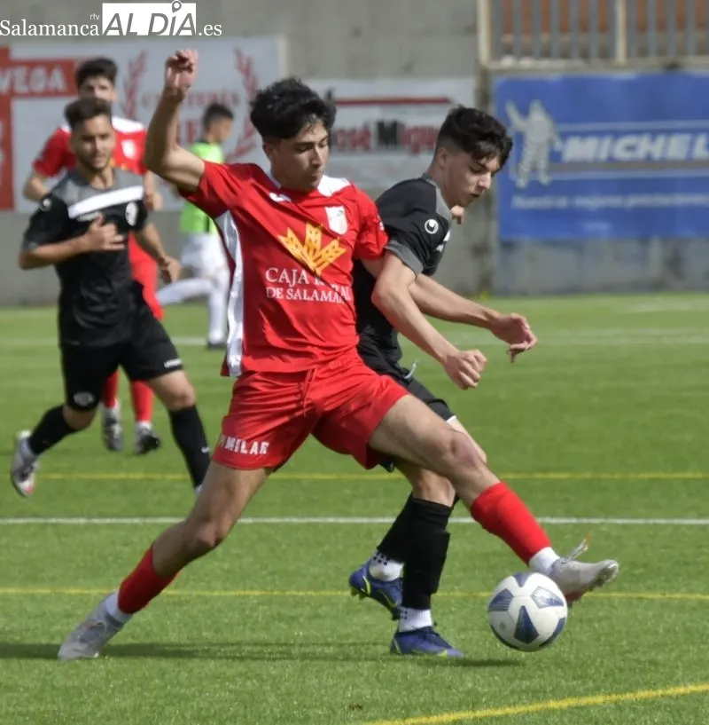 Galería de imágenes del Navega - Zamora de Liga Recoletas